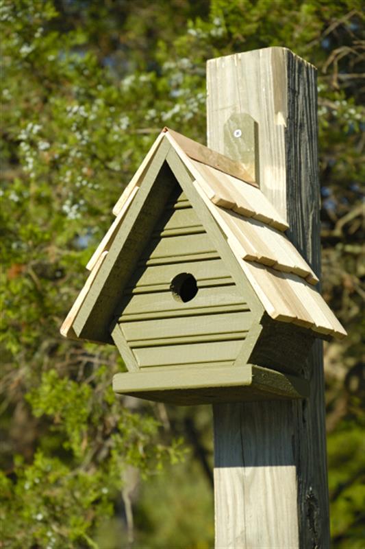 Heartwood Chick Birdhouse