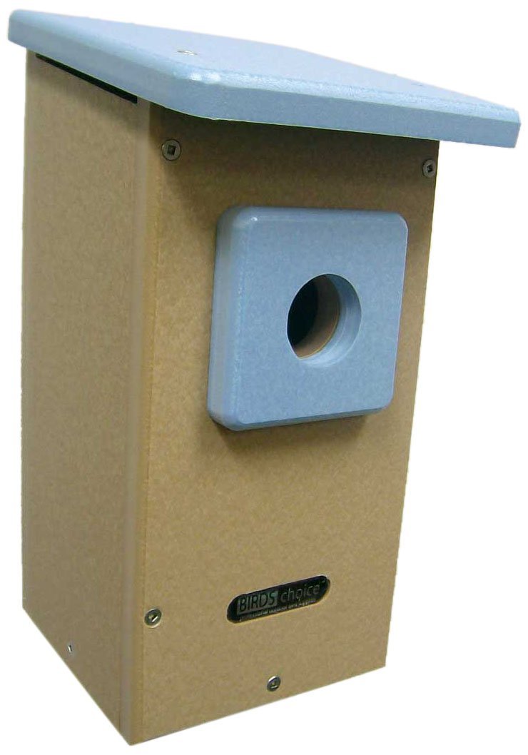 61n7SCumL5L._SL1058_.jpg