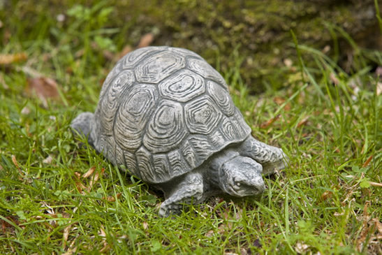 Turtle - Small