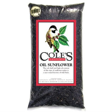 Black Oil Sunflower Seed