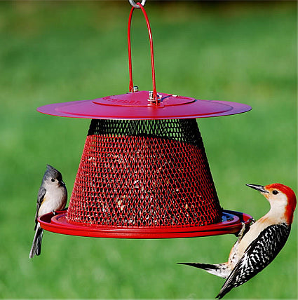 The Cardinal Bird Feeder