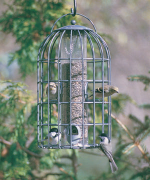 Extra Large Seed Feeder