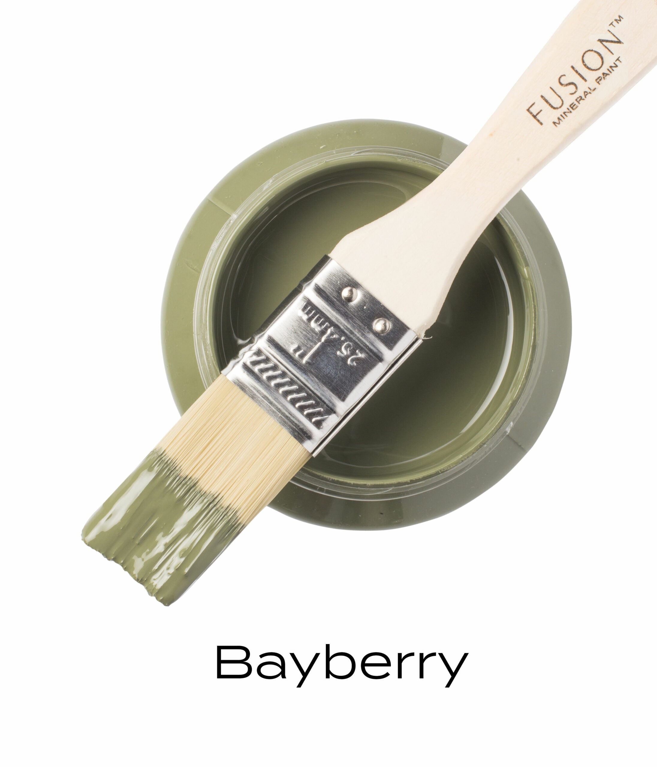 Fusion Mineral Paint Bayberry pint and brush