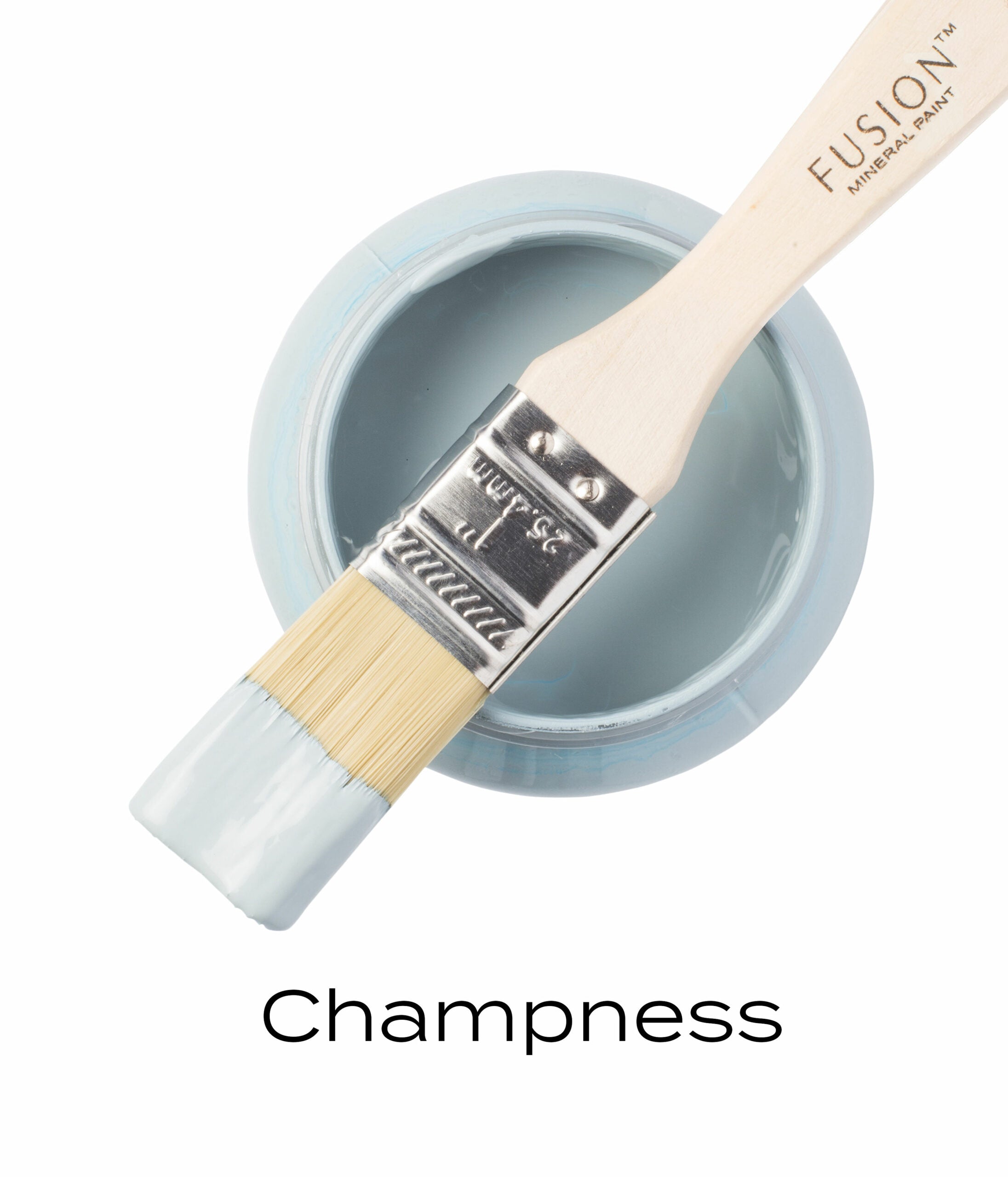 Fusion Mineral Paint Champness brush and pint
