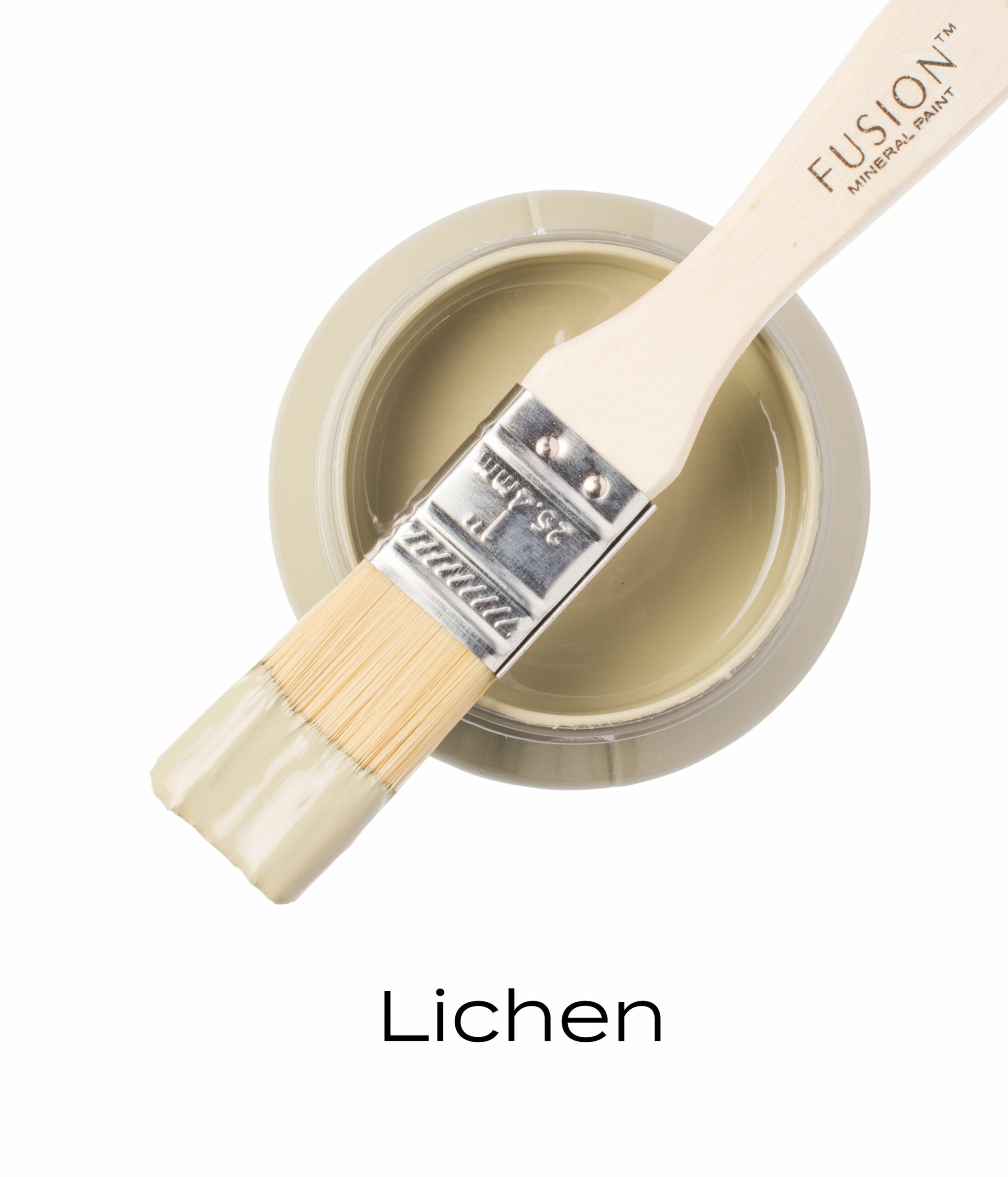 Fusion Mineral Paint Lichen pint and brush