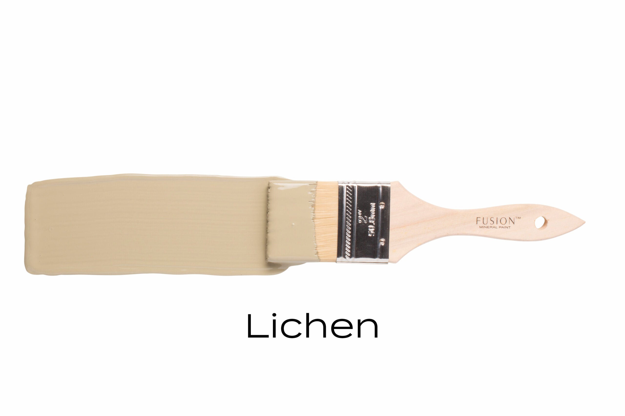 Fusion Mineral Paint Lichen Stroke