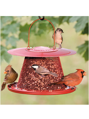 The Cardinal Bird Feeder