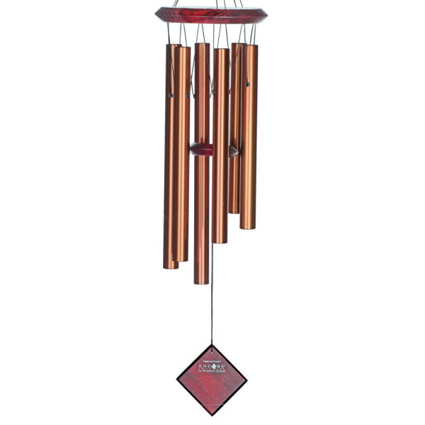 dcb27_3_.jpg
