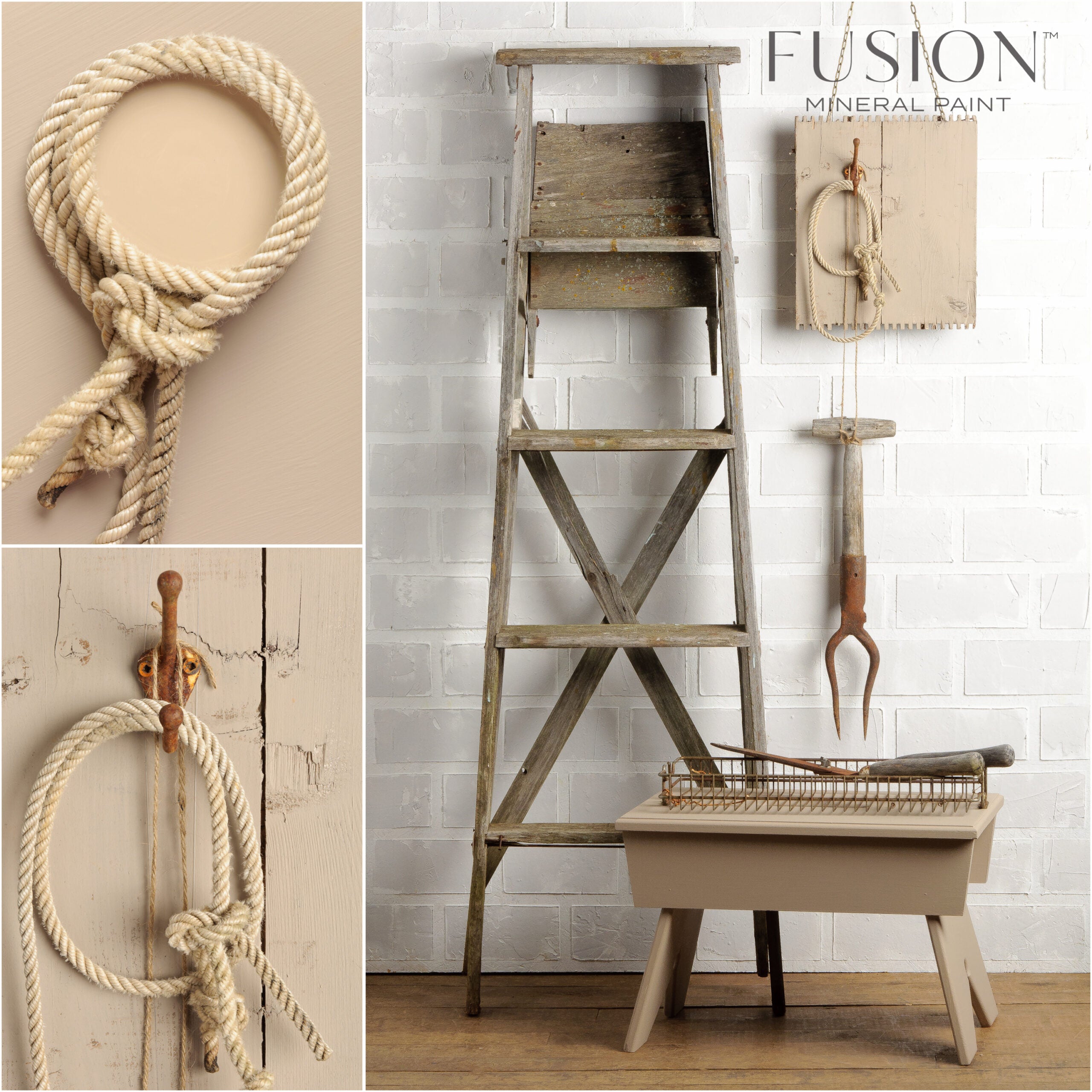 fusion-algonquin-collage-for-web