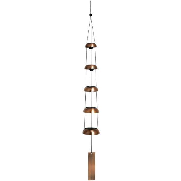 large_605_tb5c_1_.jpg