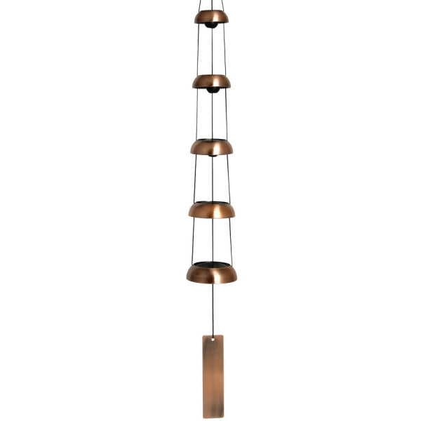 large_605_tb5c_3_.jpg