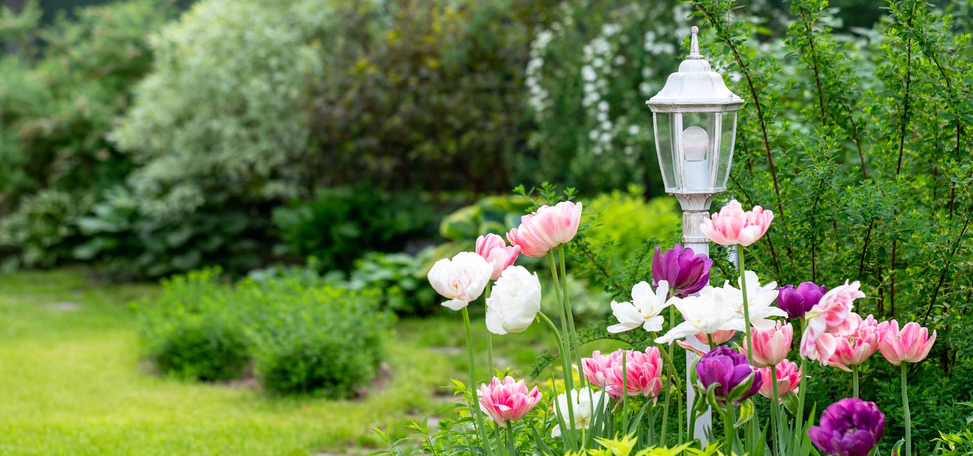 Secret Garden – Secret Garden Shop