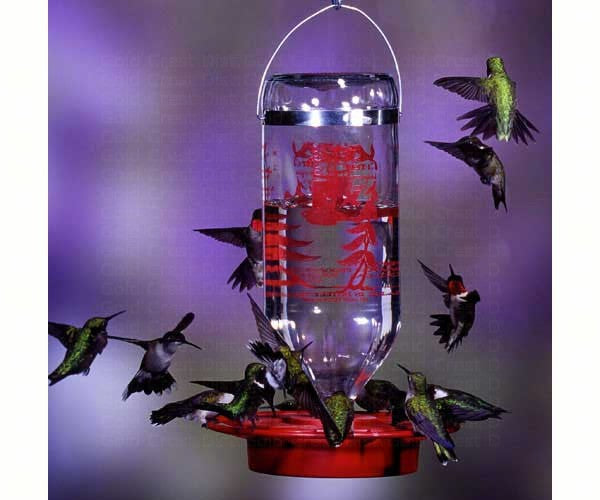 Best 1 Original Red Hummingbird Feeder