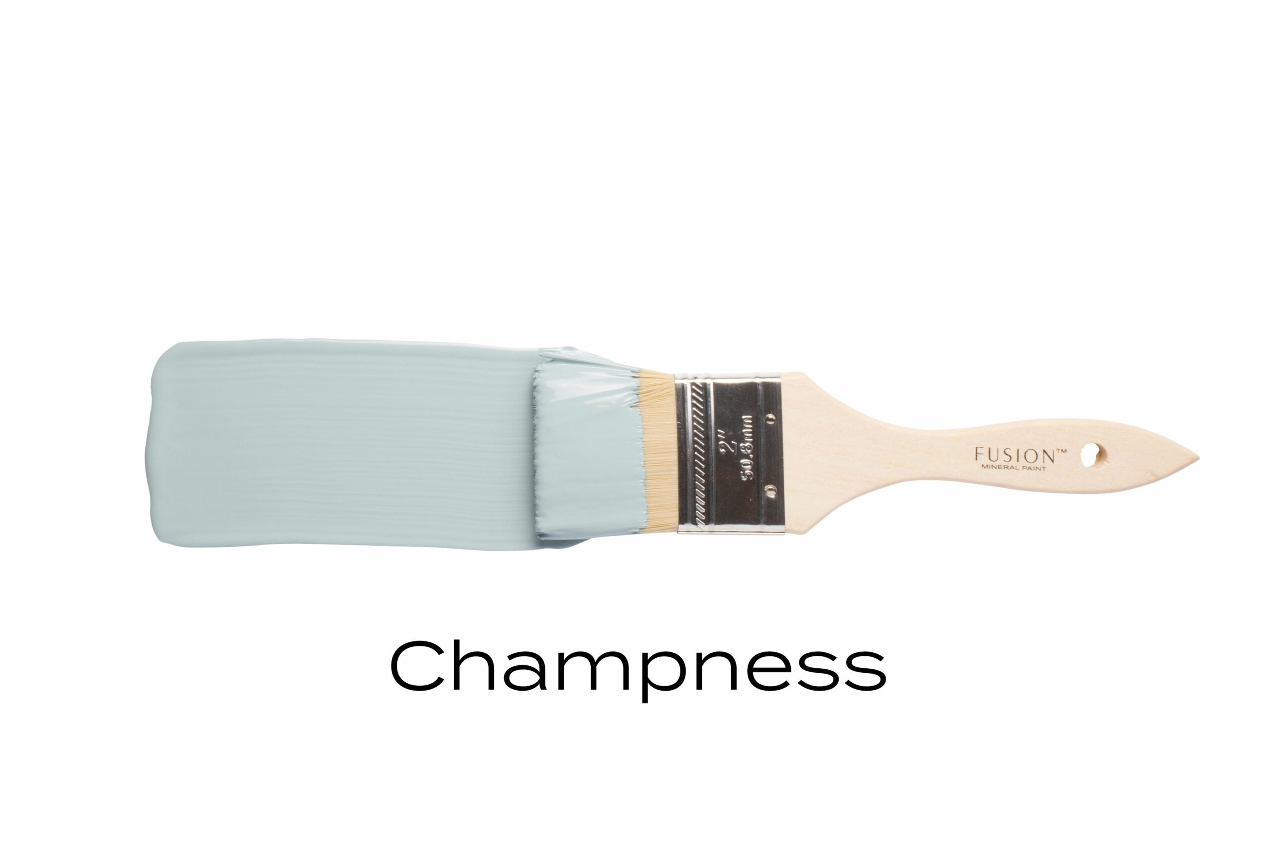Fusion Mineral Paint Champness stroke