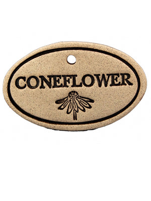 Coneflower