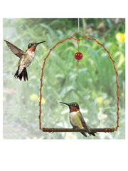 ghdfhg_medium.jpg?v=1676579363